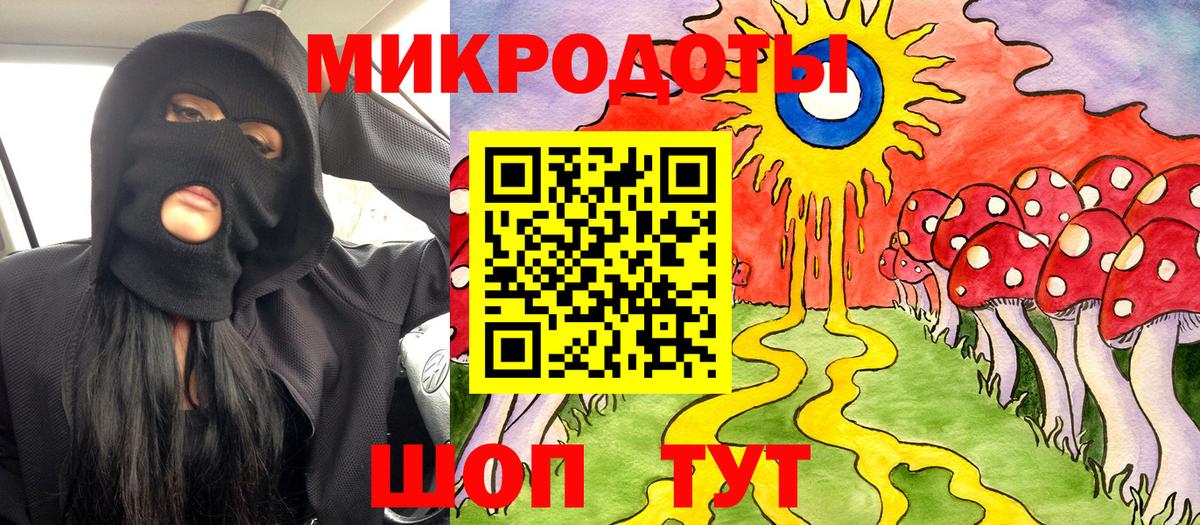Псилоцибиновые грибы Psilocybe Югорск