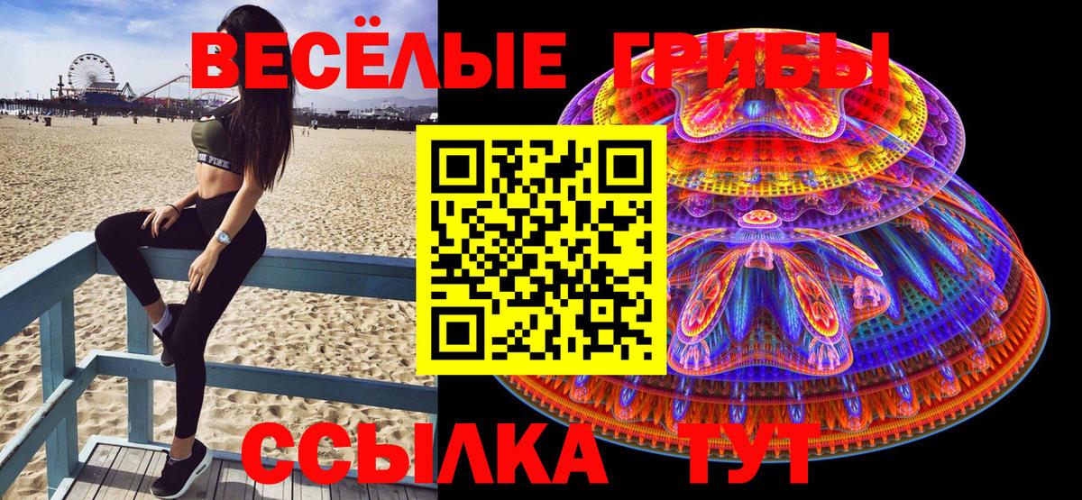 Югорск  сколько стоит  Вход с VPN  Галлюциногенные грибы Cubensis 